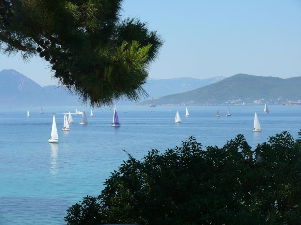 Danae Aegina